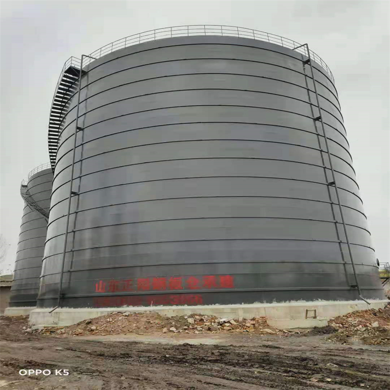 凤山3万吨大型钢板库